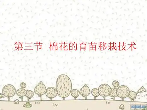 第五章第三节棉花的育苗移栽技术