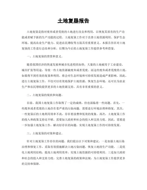 土地复垦报告
