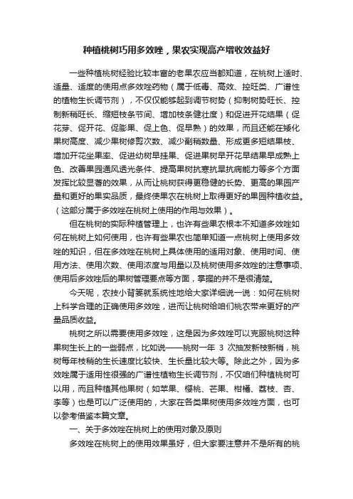 种植桃树巧用多效唑，果农实现高产增收效益好