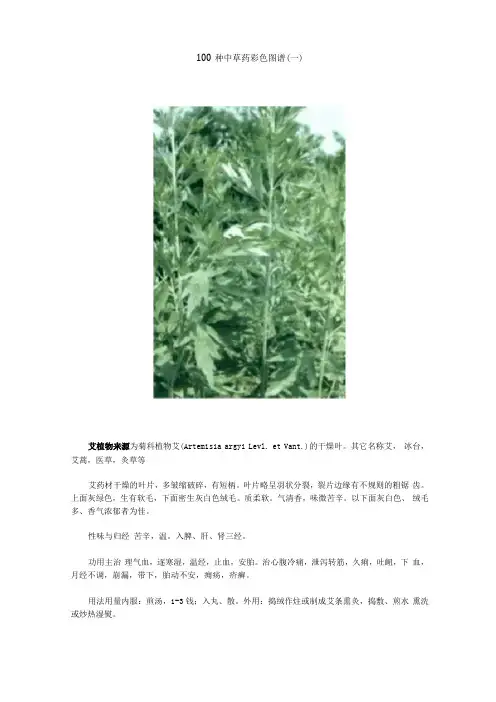 100种中草药彩色图谱全解0001