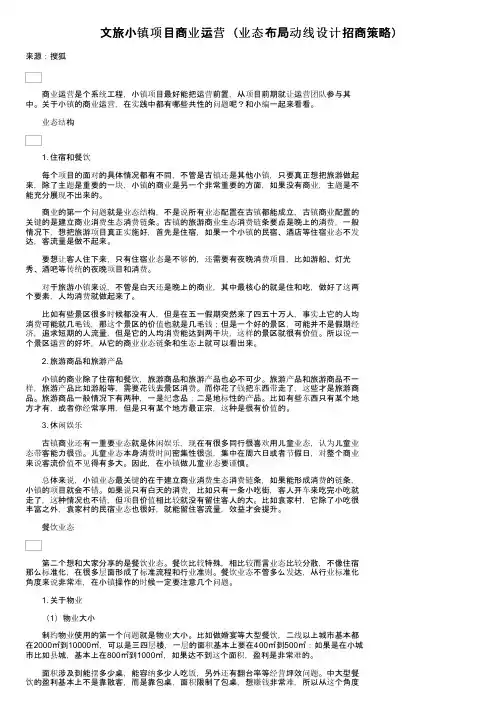 文旅小镇项目商业运营（业态布局动线设计招商策略）
