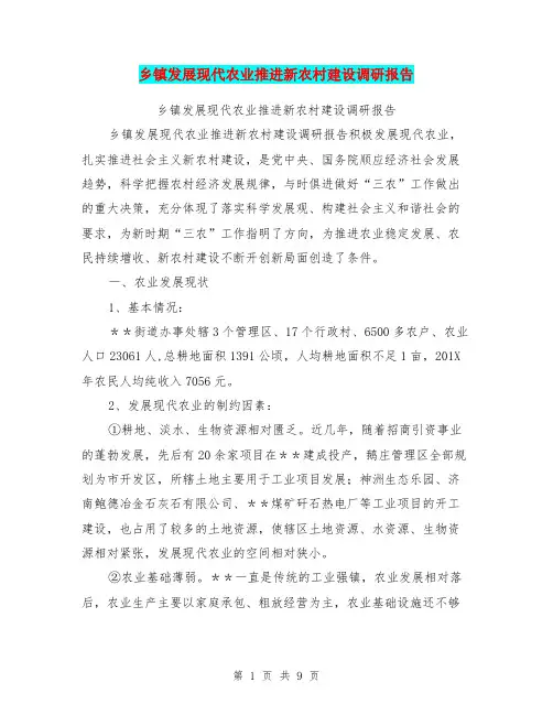 乡镇发展现代农业推进新农村建设调研报告