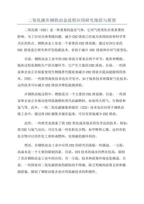 二氧化碳在钢铁冶金流程应用研究现状与展望