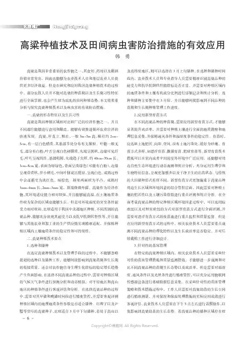 高粱种植技术及田间病虫害防治措施