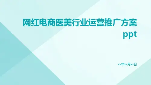 网红电商医美行业运营推广方案ppt