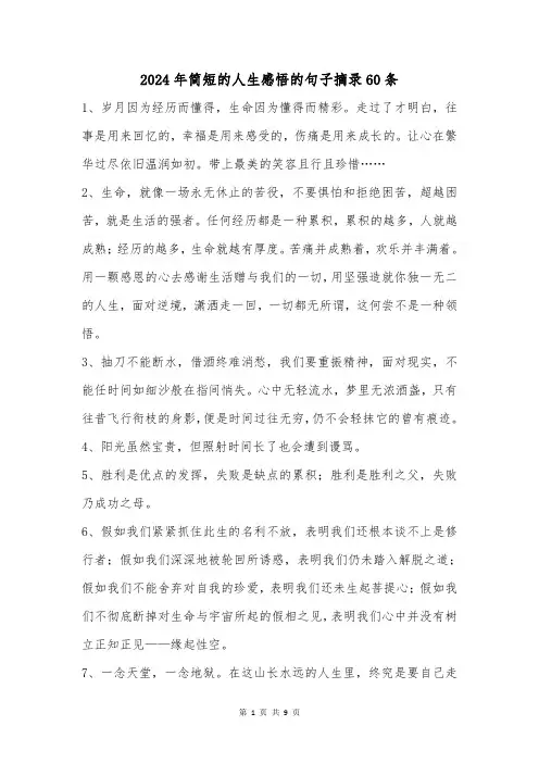 2024年简短的人生感悟的句子摘录60条