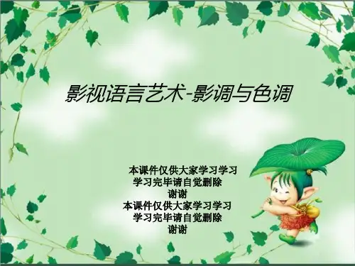 影视语言艺术-影调与色调
