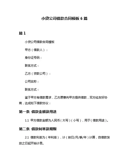 小贷公司借款合同模板6篇