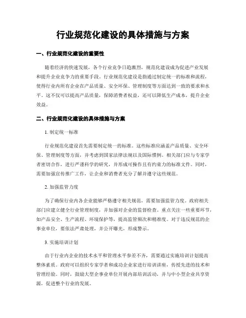 行业规范化建设的具体措施与方案