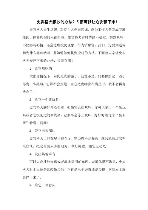 史宾格犬很吵的办法？5招可以让它安静下来!