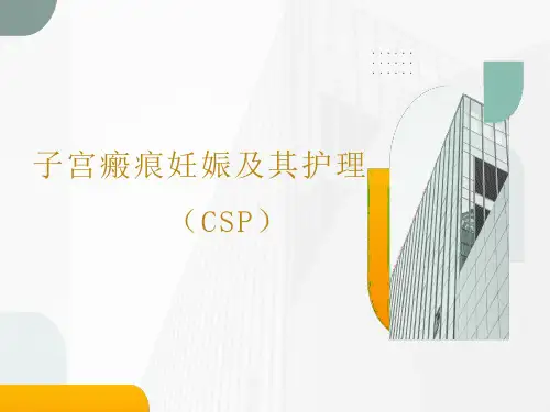 子宫动脉栓堵术的护理教学课件ppt