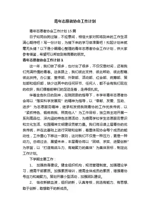 青年志愿者协会工作计划