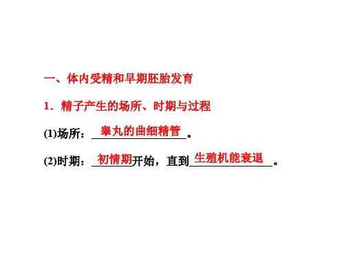 精子产生的场所、时期与过程 69页
