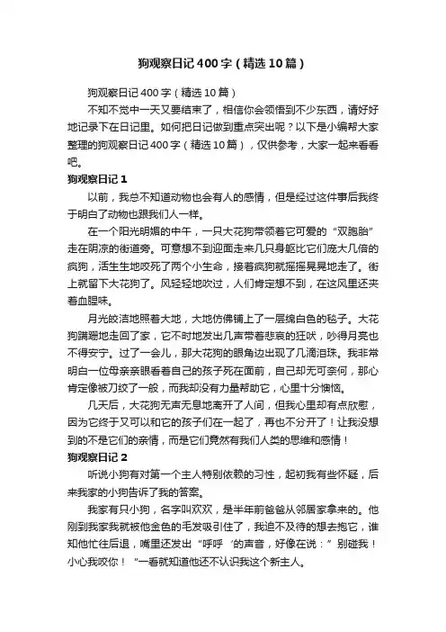 狗观察日记400字（精选10篇）