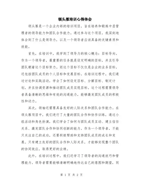 领头雁培训心得体会