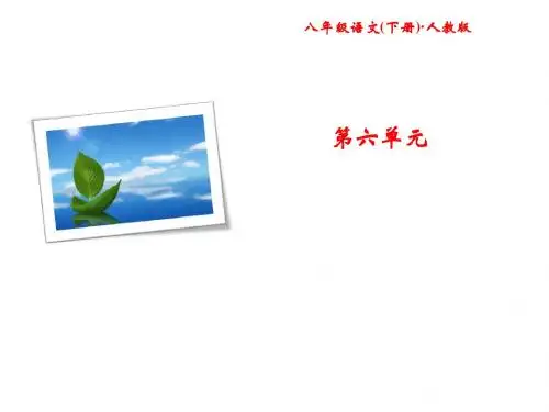 2017人教版八年级语文下册第30课《诗五首》同步习题课件 (共22张PPT)
