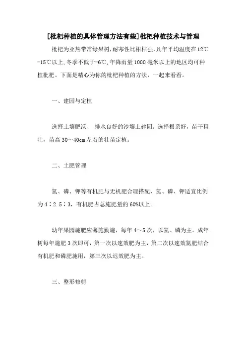 [枇杷种植的具体管理方法有些]枇杷种植技术与管理