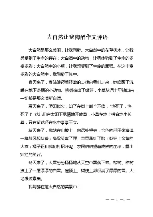 大自然让我陶醉 作文评语