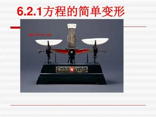 6.2.1方程的简单变形