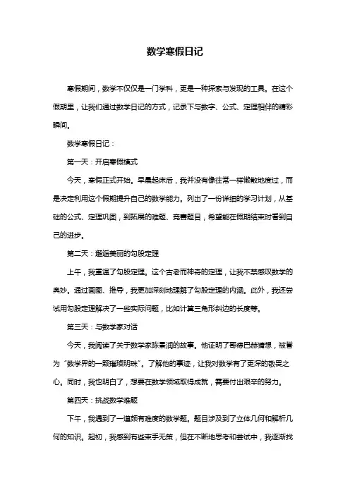 数学寒假日记
