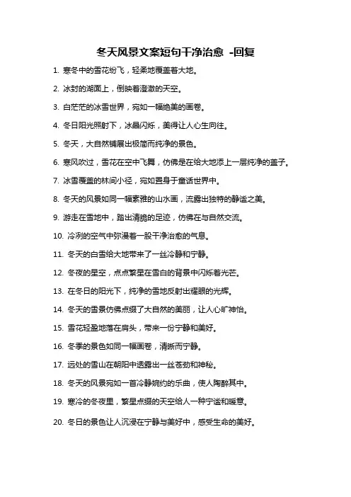 冬天风景文案短句干净治愈 -回复