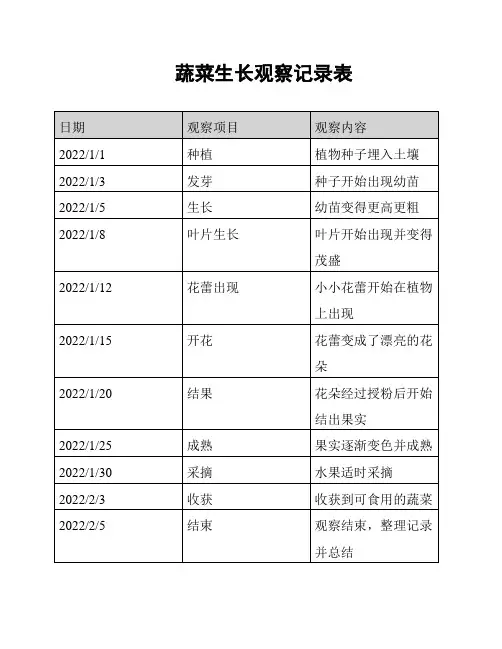 蔬菜生长观察记录表