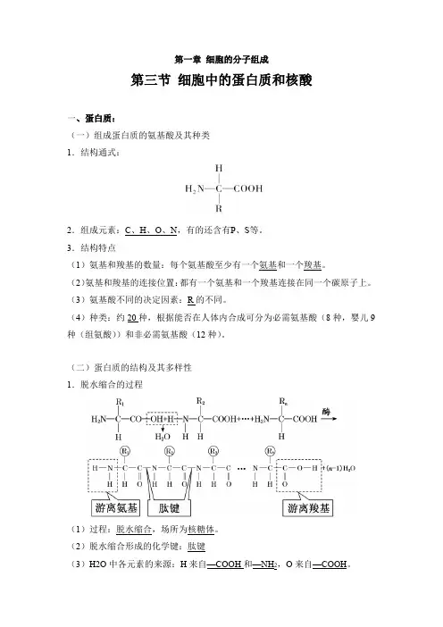 1.3 细胞中的蛋白质和核酸