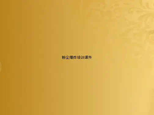 粉尘爆炸培训
