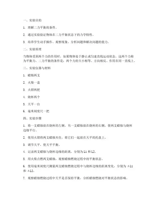 物理蜡烛平衡实验报告