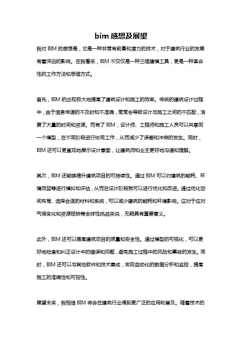 bim感想及展望