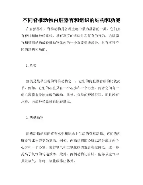 不同脊椎动物内脏器官和组织的结构和功能