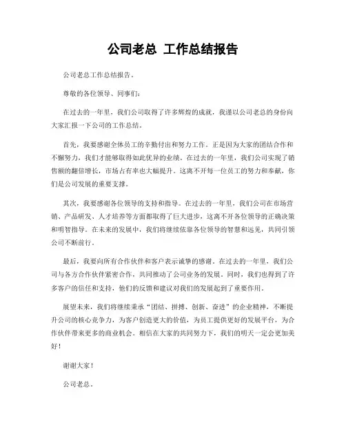 公司老总 工作总结报告