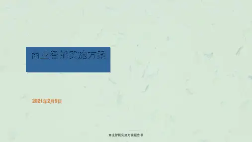 商业智能实施方案报告书ppt课件