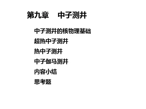 第九章--中子测井分析