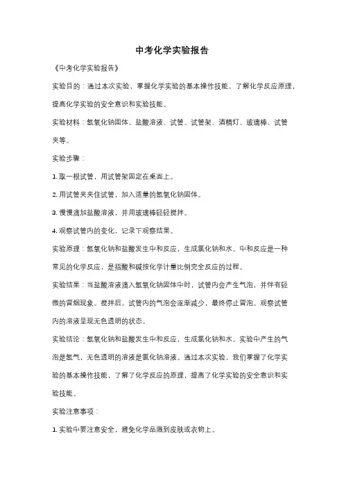中考化学实验报告