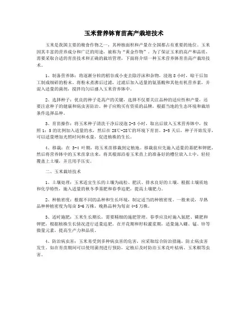 玉米营养钵育苗高产栽培技术