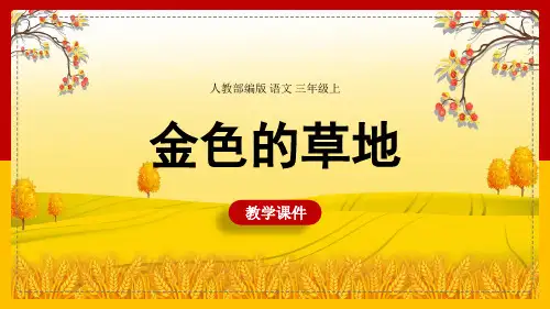 小学语文人教部编版三年级上册《16金色的草地》课件(共45张PPT)