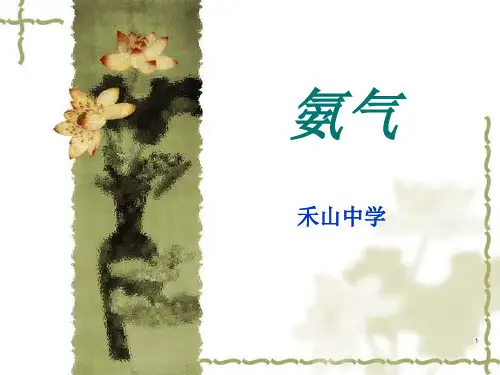 氨气的性质PPT课件