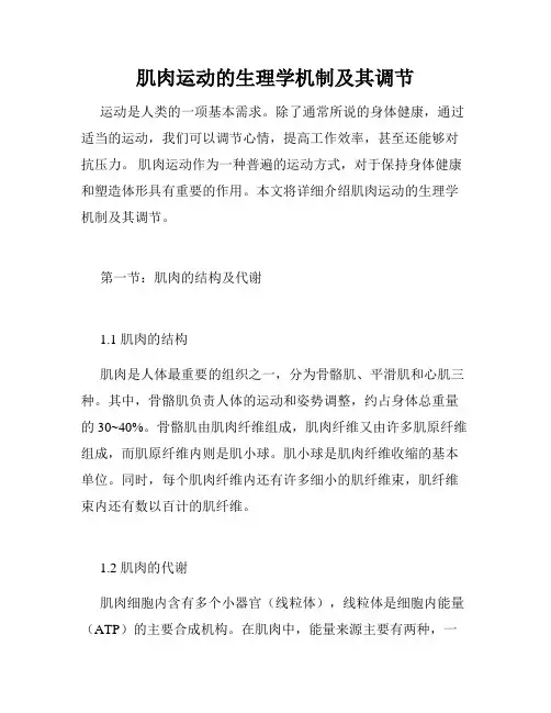 肌肉运动的生理学机制及其调节