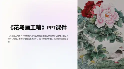 《花鸟画工笔》课件