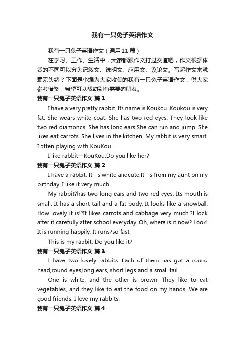 我有一只兔子英语作文
