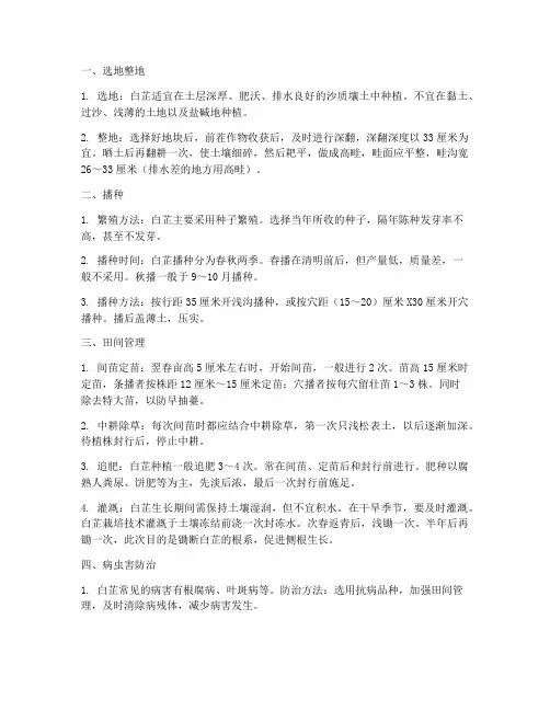 中药材白芷种植及管理技术