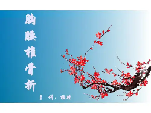 胸腰椎骨折ppt课件
