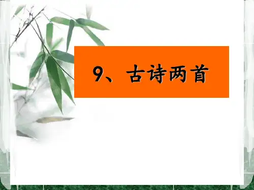 9古诗两首《九月九日忆山东兄弟》