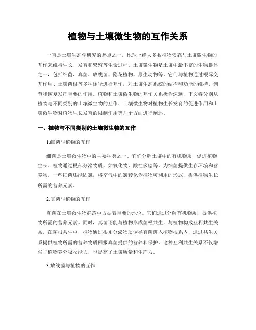 植物与土壤微生物的互作关系
