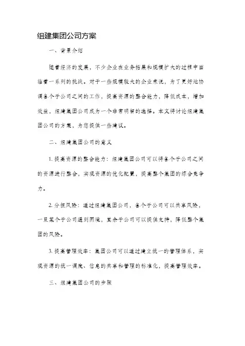组建集团公司方案