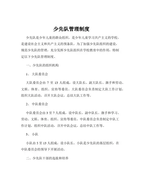 少先队管理制度