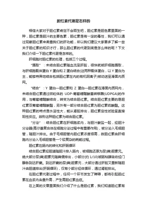 胆红素代谢是怎样的