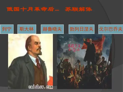 高中历史必修2《从“战时共产主义”到“斯大林模式”》1242人教PPT课件