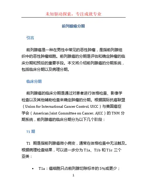 前列腺癌分期
